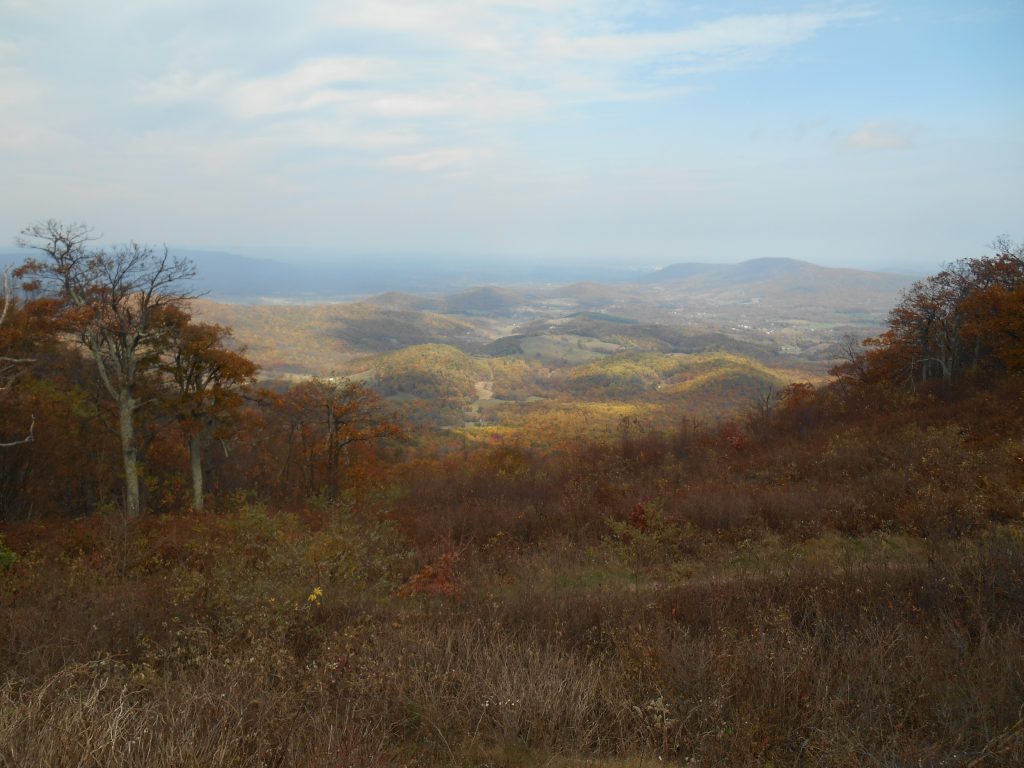 Skyline Drive