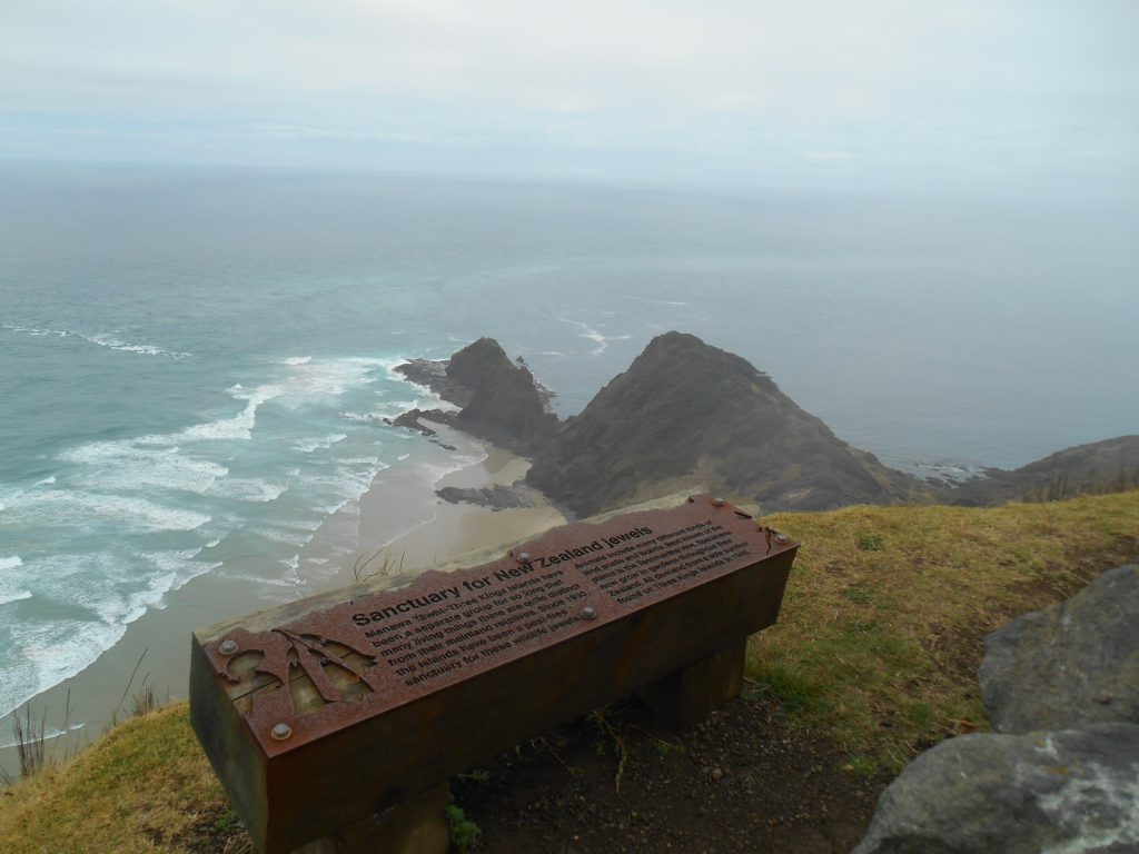 Cape Reinga