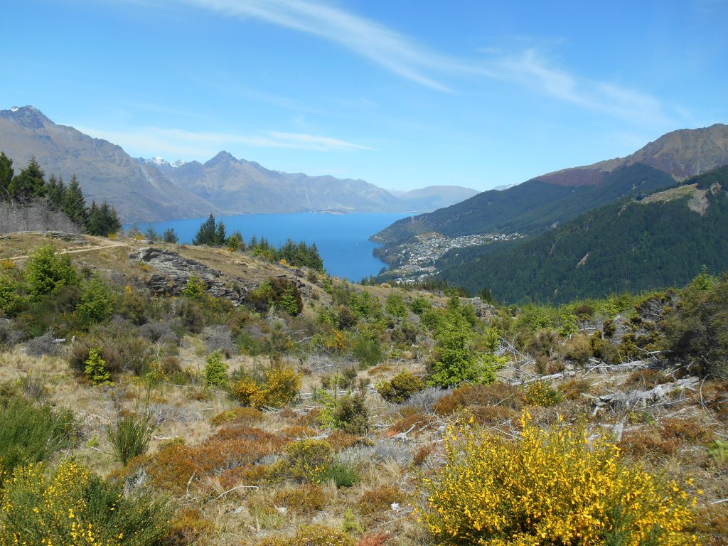 Queenstown, South Island, New Zealand