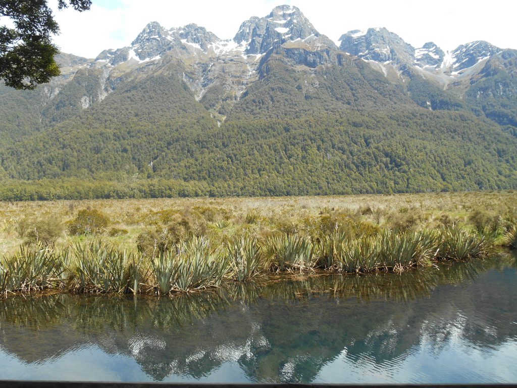 On the way to Milford Sound