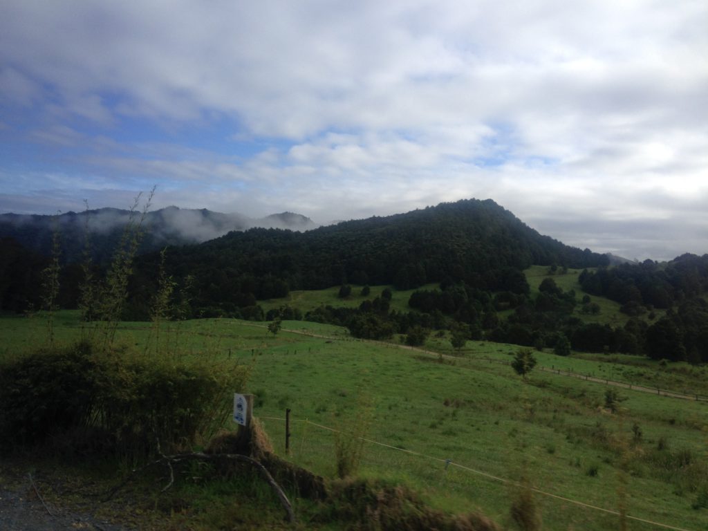 Near Cape Reinga