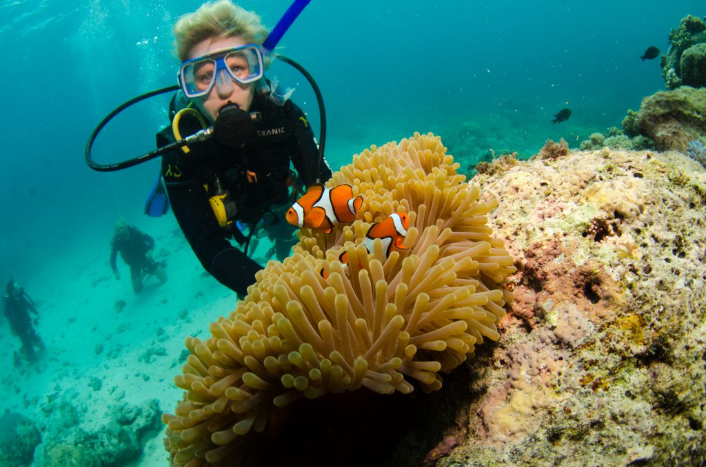 Diving the Great Barrier Reef