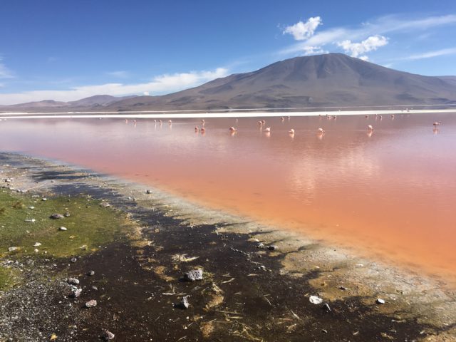 Bolivian Salt Flats Tours – The Incredible Landscape of Salar de Uyuni