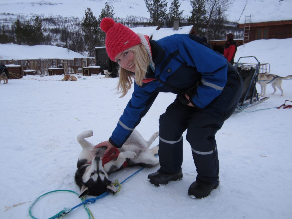 Dog Sledding in Tromso