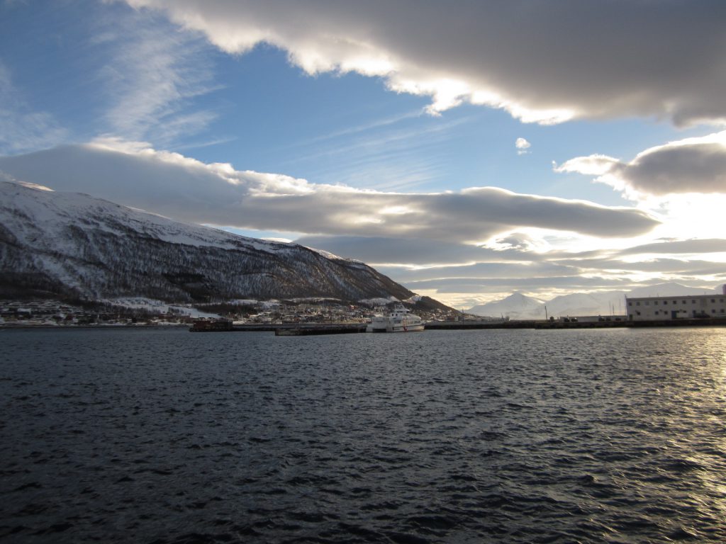 Dog Sledding in Tromso