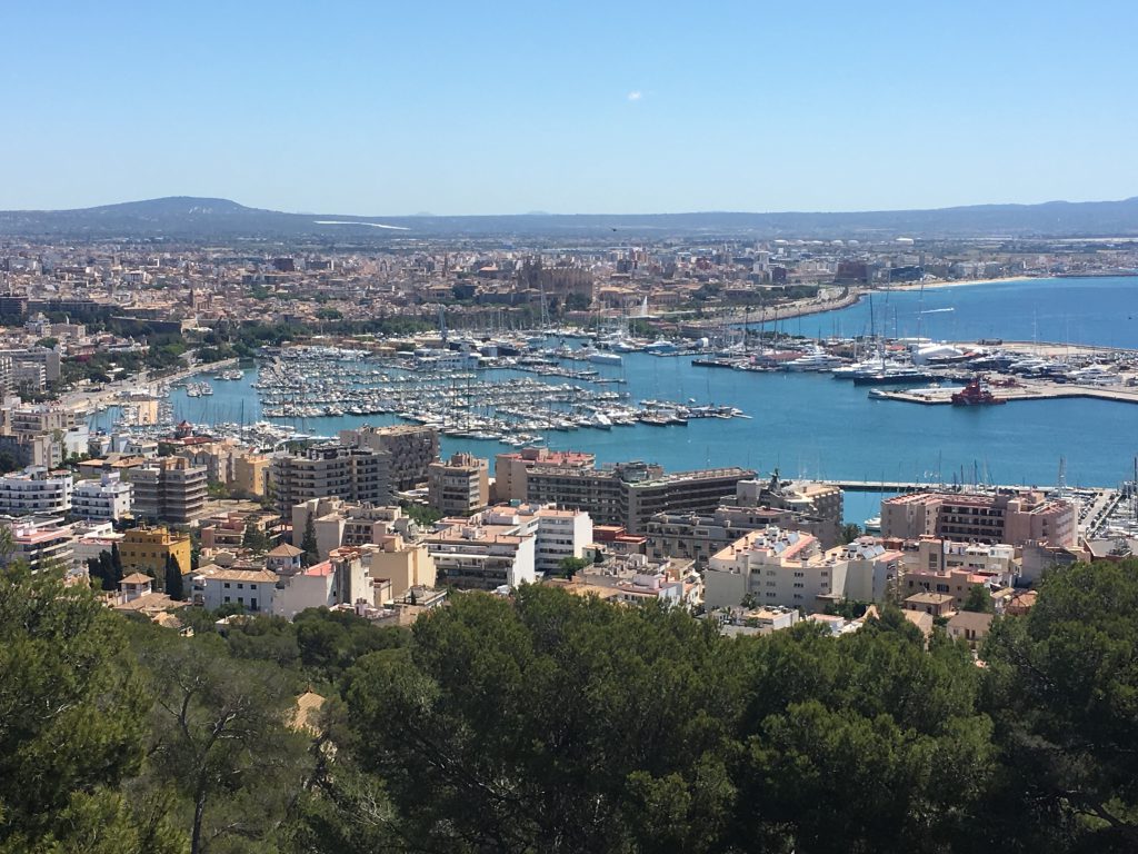 Hidden Gems and Gothic Stunners - Things to do in Palma, Mallorca